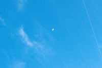Miami-20120329-DSC_0429