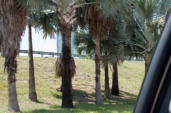 Miami-20120331-DSC_0300