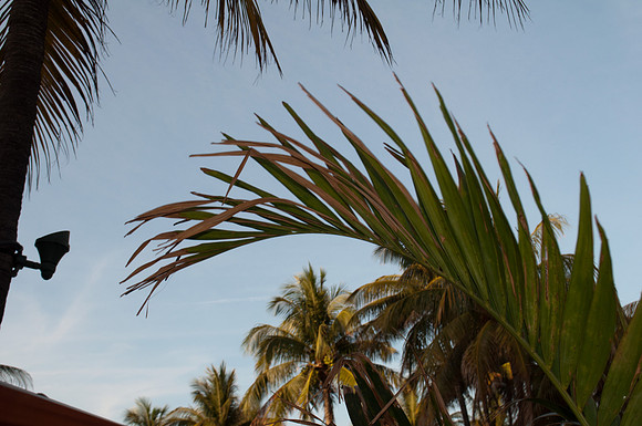 Miami-20120401-DSC_0369